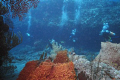   Cozumel Palanchar Breaks  